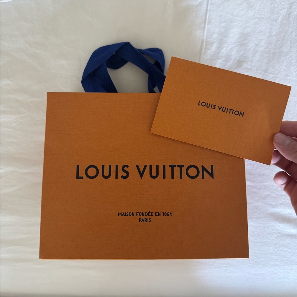 Louis Vuitton gift bag